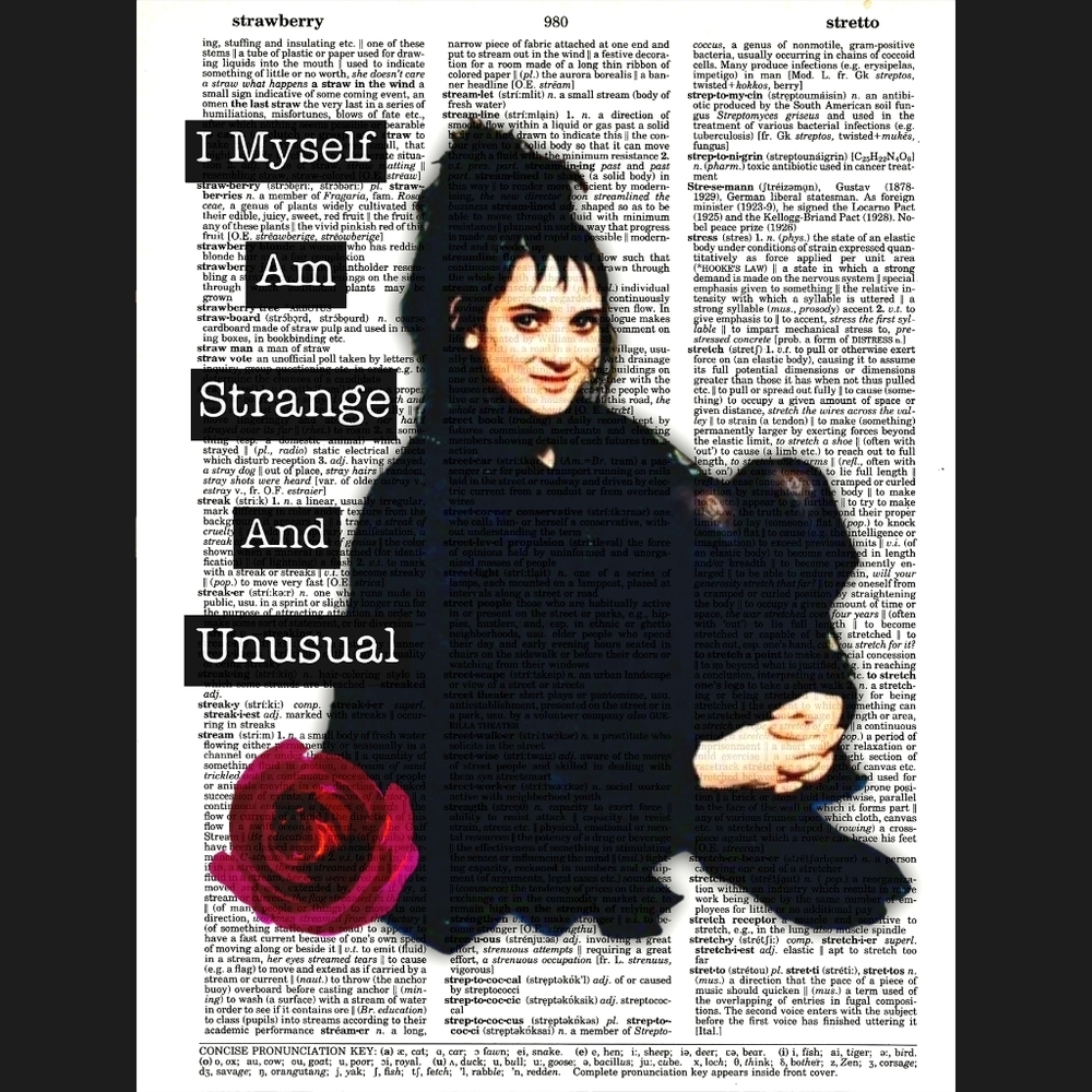 Beetlejuice Gothic Strange Unusual Dictionary Art